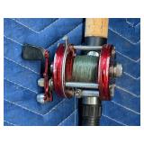 Ambassassduer 6000 Fishing Reel with Daiwa Custom Design Triforce 6ft Fishing Rod