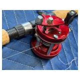 Ambassassduer 6000 Fishing Reel with Daiwa Custom Design Triforce 6ft Fishing Rod