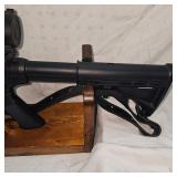 S&W M+P  15-22, 22LR, Nikon P-22 Scope, Sling