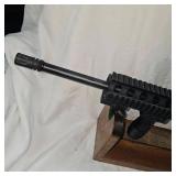 S&W M+P  15-22, 22LR, Nikon P-22 Scope, Sling