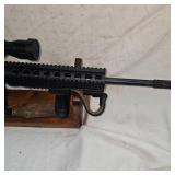 S&W M+P  15-22, 22LR, Nikon P-22 Scope, Sling
