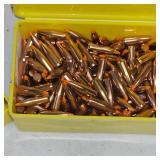 Speer 223 55fr Ballistic Tip-130Rds