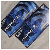 Federal Two Boxes 45-70 300gr SP