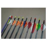 Assorted Arrows