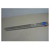*3* Allen Thunder Express Arrows
