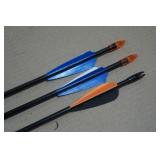 *3* Allen Thunder Express Arrows