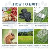 Animal Trap 26"x10"x9" Cage Trap,Heavy Duty Folding Raccoon Traps Live Animal Cage Trap,Humane Catch and Release Stray Cats,Squirrels,Rabbits