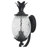 $137 Acclaim 7501BK Lanai Collection 2-Light Wall Mount Outdoor Light Fixture, Matte Black