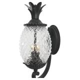 $137 Acclaim 7501BK Lanai Collection 2-Light Wall Mount Outdoor Light Fixture, Matte Black