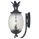 $137 Acclaim 7501BK Lanai Collection 2-Light Wall Mount Outdoor Light Fixture, Matte Black