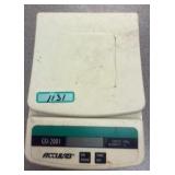Acculab Scale