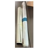 human skeleton and muscle posters