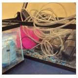 miscellaneous fish items