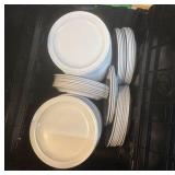Melanine Plates