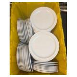 Melanine Plates