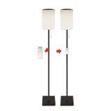 Patriot Lighting  Solar-Powered Indoor/Outdoor Color Changing LED 2-in-1 Lamp