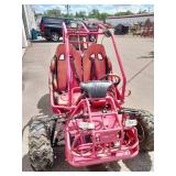 TrailMaster go-kart, likely the 200 XRX model,
