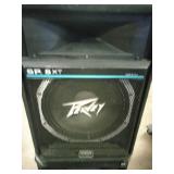 Peavey SP 5XT passive full-range PA speakers.