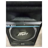 Peavey SP 5XT passive full-range PA speakers.