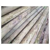 6pcs of round 8 foot green treat po...