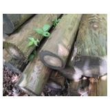 6pcs of round 8 foot green treat po...