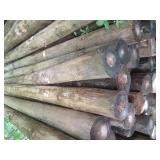 6pcs of round 8 foot green treat po...