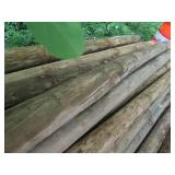 6pcs of round 8 foot green treat po...