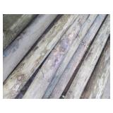 6pcs of round 8 foot green treat po...