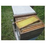 2 Complete 3-Cell Beehive Honey Box...