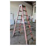 Werner Fiberglass Step Ladder