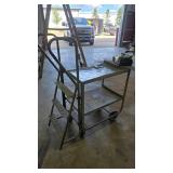 Industrial Metal Cart with Ladder