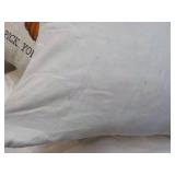 Autumn Harvest Throw Pillow x 2; sl...