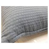 Blue Throw Pillow 21 x 21" - one co...