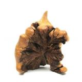 Very Cool Vintage Carved Burled Wood Folk Art Face Sculpture