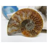 Very Nice Estate Lot of Rocks Geodes Fossils Arrowheads etc