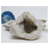 Very Nice Estate Lot of Rocks Geodes Fossils Arrowheads etc