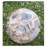 Massive Genuine Petrified Wood Sphere