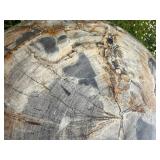 Massive Genuine Petrified Wood Sphere