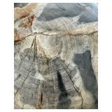 Massive Genuine Petrified Wood Sphere