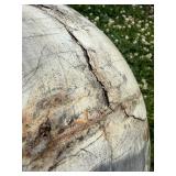 Massive Genuine Petrified Wood Sphere