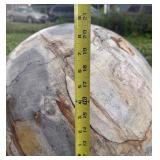Massive Genuine Petrified Wood Sphere