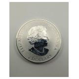 2019 Fine Silver Horse 3/4 Oz Coin
