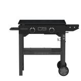 $158 Charbroil  Performance Series 2-Burner Propane Gas Griddle