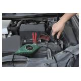Masterforce  2-Amp Battery Charger & Maintainer