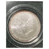 2007 AMERICAN SILVER EAGLE 1 TROY OZ .999 FINE SILVER IN CASE
