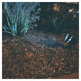 4 PACK Patriot Lighting  Solar Integrated LED 50 Lumen Flood Landscape Light