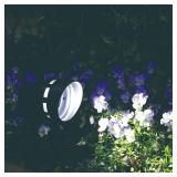 4 PACK Patriot Lighting  Solar Integrated LED 50 Lumen Flood Landscape Light