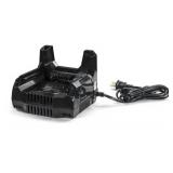 Briggs & Stratton  48-Volt Lithium-Ion Battery Charger