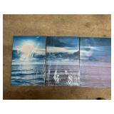 3 piece Wall Canvas
