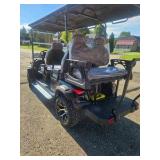 Unused 2026 SDLANCH GOLF CART SDLC100 CE
